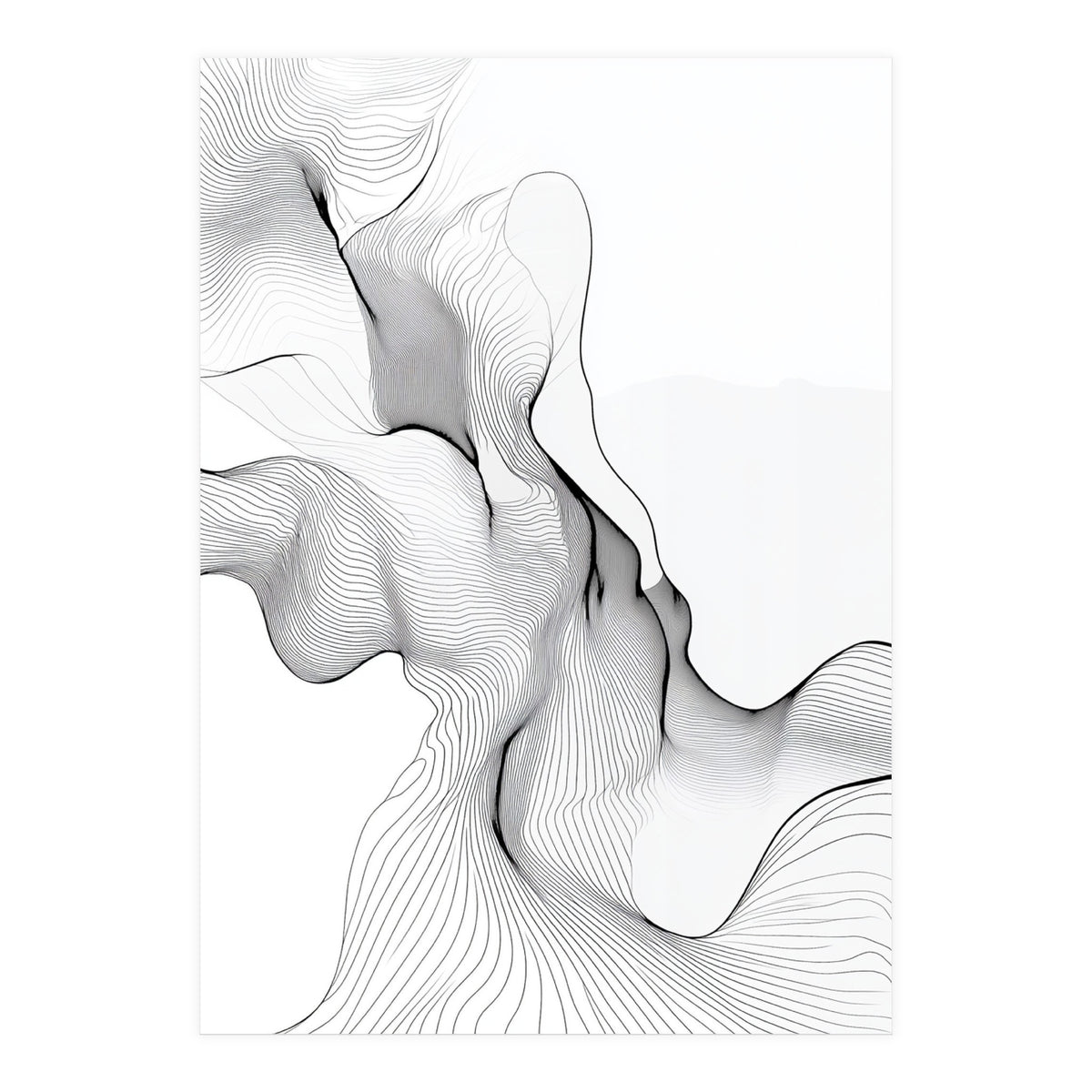 Abstract Black And White Flowing Lines (Print Only)