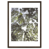 Mother Nature thumbnail