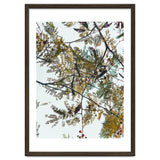 Patterns In Nature thumbnail
