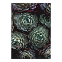 Succulent Plant Ii (Print Only)