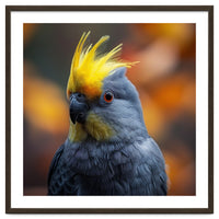 Close-up Portrait of a Yellow Cockatoo in the Wild.