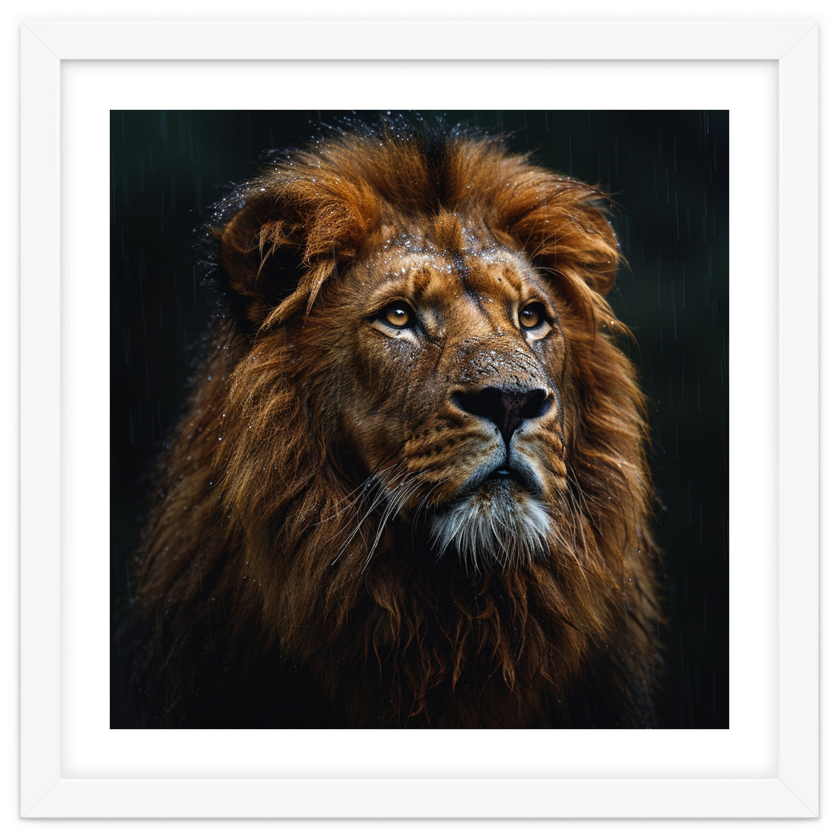 Majestic Lion Portrait In Gentle Rain