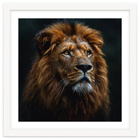 Majestic Lion Portrait In Gentle Rain