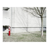Red light pole and Tree shadow on the wall (Print Only) thumbnail