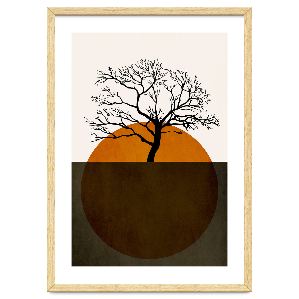 Sunny Days Of Silence