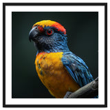 Close Up Colorful Parrot Perched On A Branch thumbnail