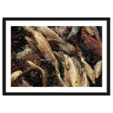 Fish01 thumbnail