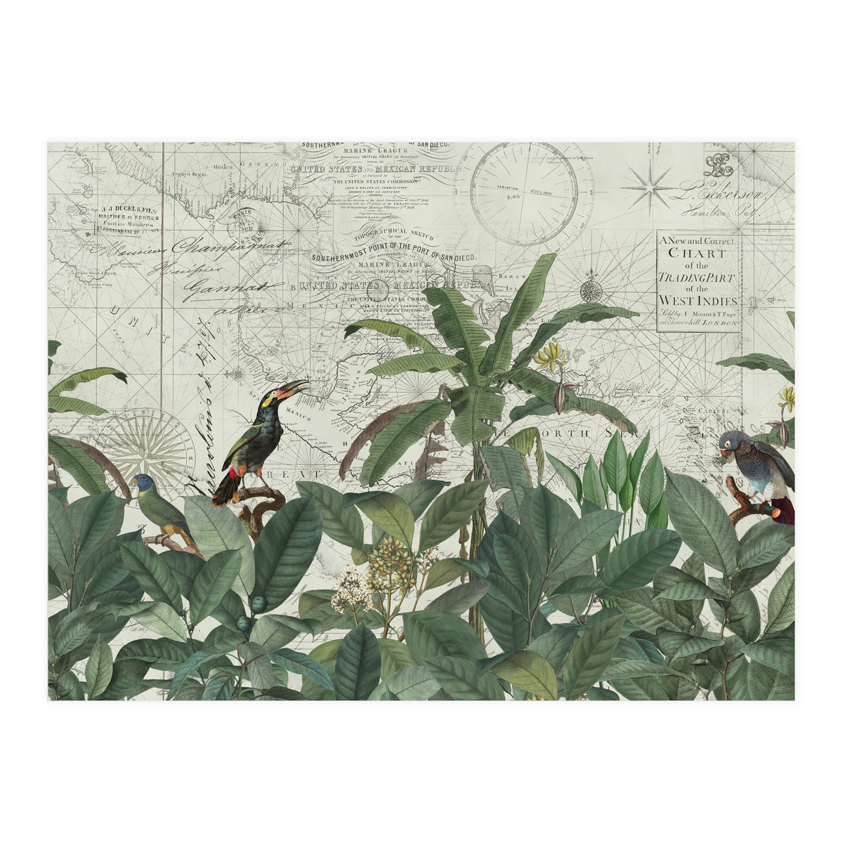 Explore The New World (Print Only)