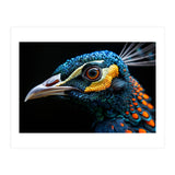 Close Up Of A Peacock Bird Head Eye (Print Only) thumbnail