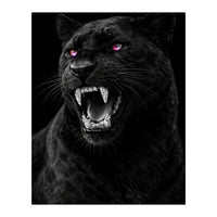 Black leopard with colorful eyes portrait (Print Only)