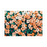 Floral Bliss, Nature Photography Garden Meadow, Blush Orange Coral Summer Flowers Botanical (Print Only) thumbnail