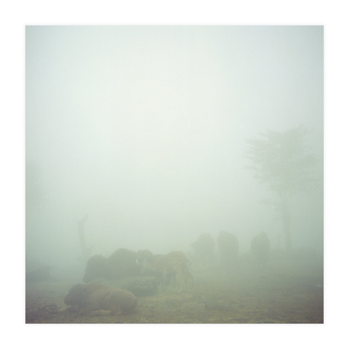 Silence of breath - 03 (Print Only)