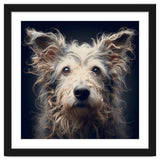 Old Dog 07 thumbnail
