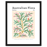 Australian Flora: Wax Flower thumbnail
