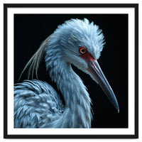 Striking Portrait Of A Blue Heron Bird