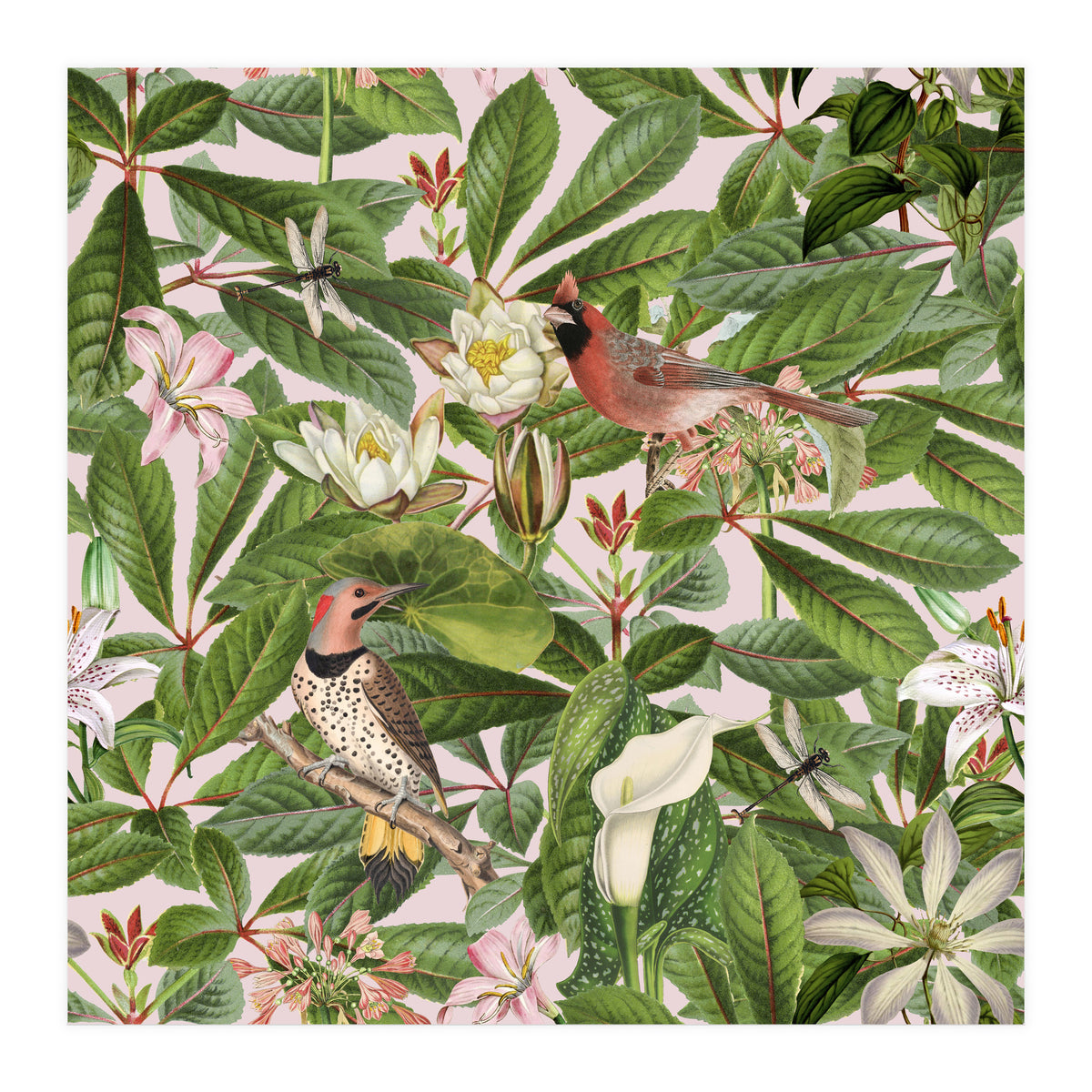Tropical Bird Garden (Print Only)