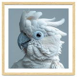 White Cockatoo Bird Portrait Close Up thumbnail