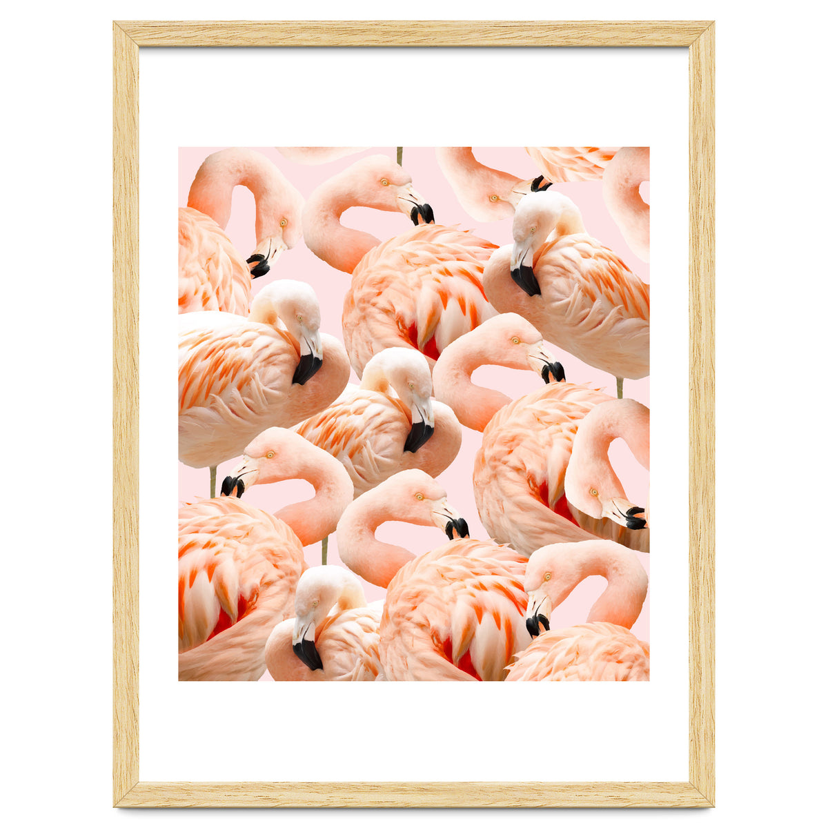 Flamingo Blush #society6 #decor #buyart #flamingoart