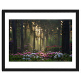 Rhododendron forest thumbnail