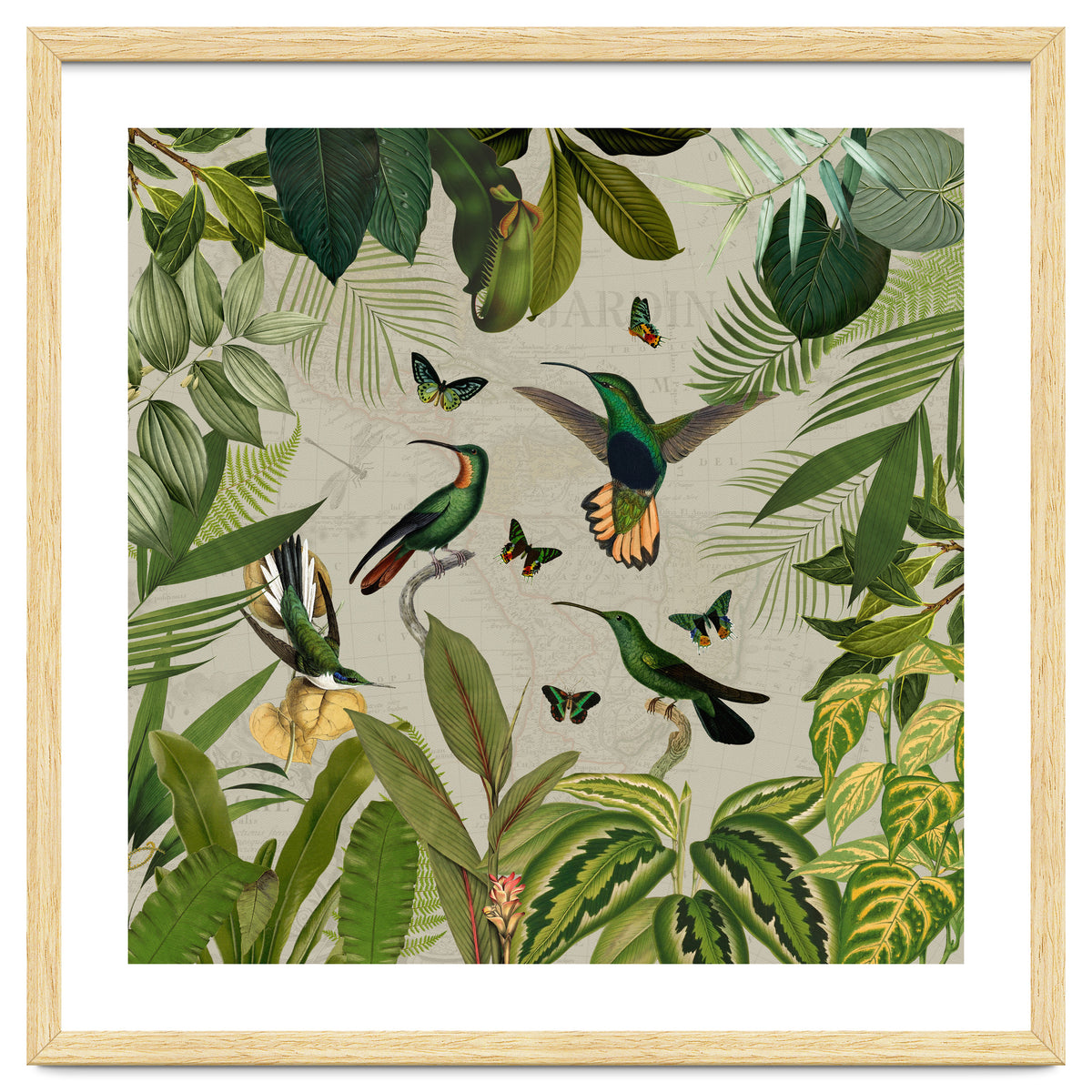 Vintage Exotic Hummingbirds Jungle
