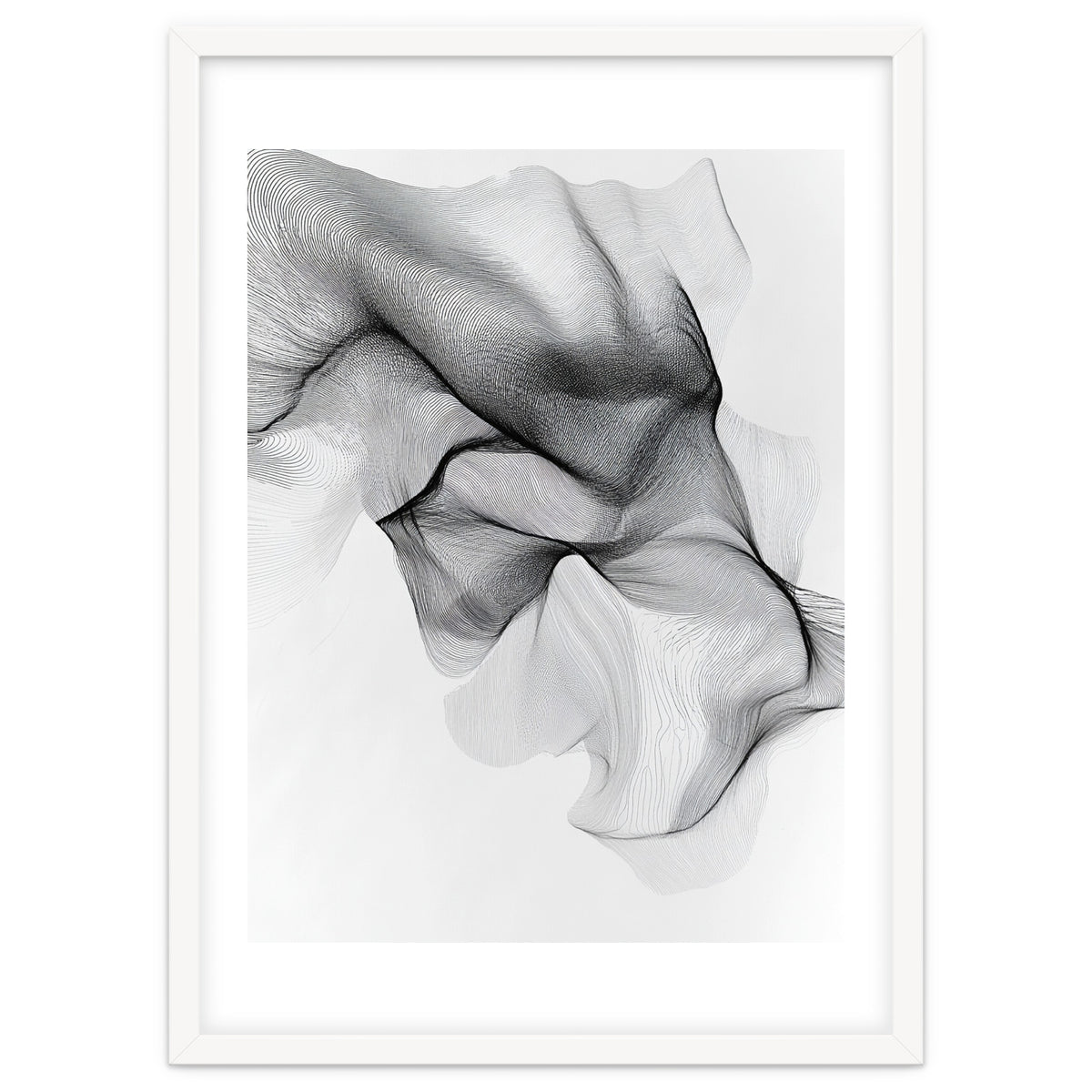 Abstract Black And White Flowing Lines Forming Organic Shapes And Forms