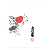 Karp Koi Close Up (Print Only) thumbnail