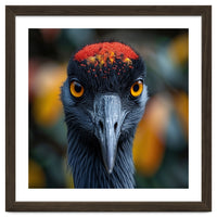 Close Up Of A Strikingly Beautiful Bird Face