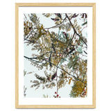Patterns In Nature thumbnail