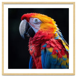 Scarlet Macaw Parrot Vibrant Plumage Close Up thumbnail