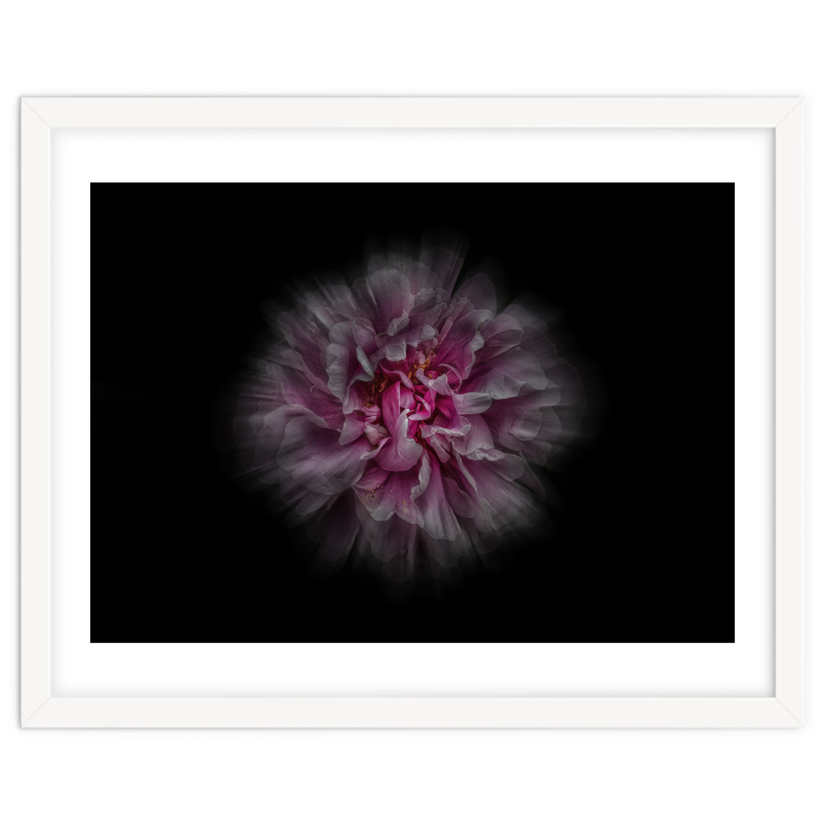 Backyard Flowers No 116 Color Flow Version