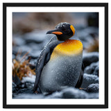 King Penguin In Snow With Water Droplets thumbnail
