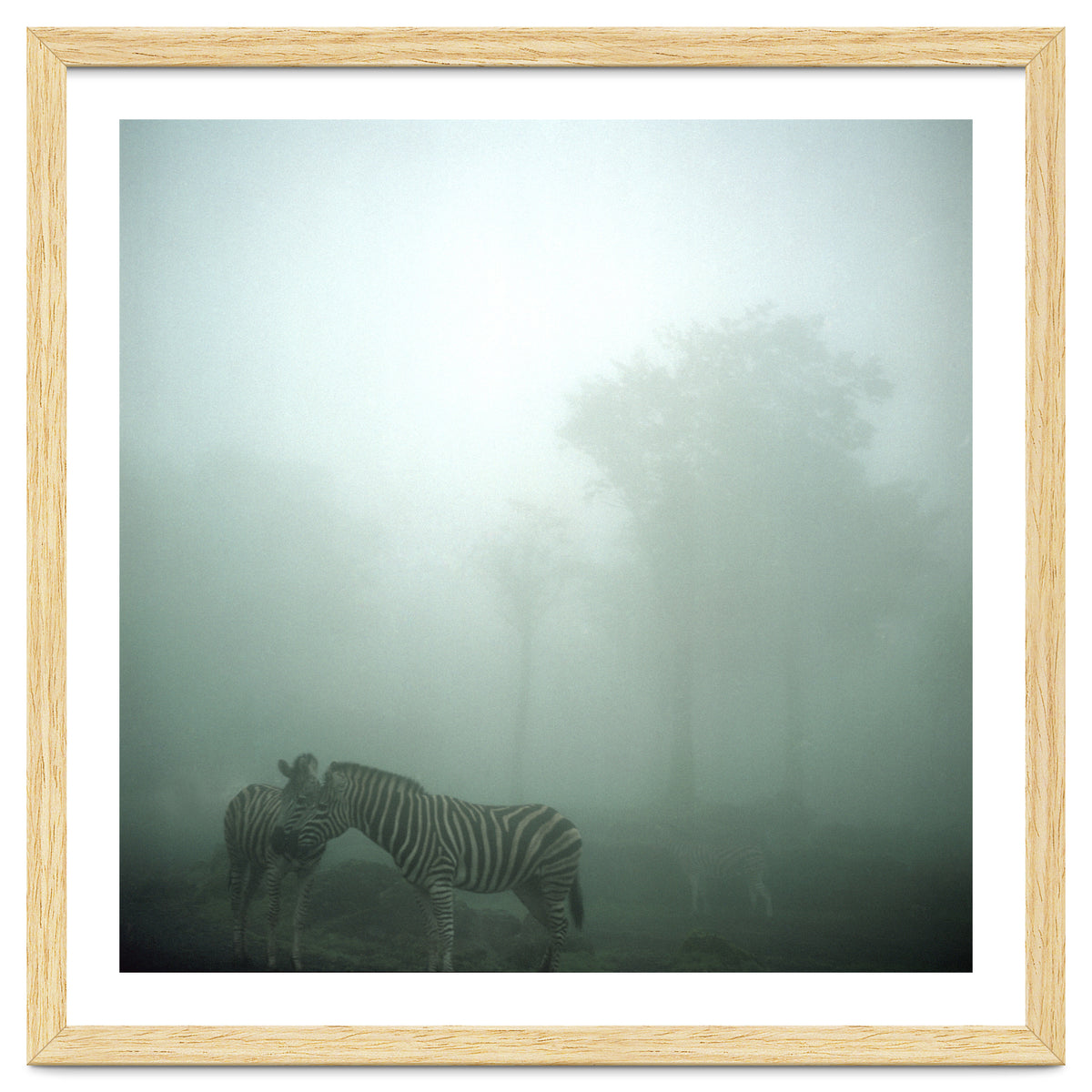 Silence of breath - 15