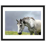 White Horse thumbnail