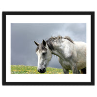 White Horse