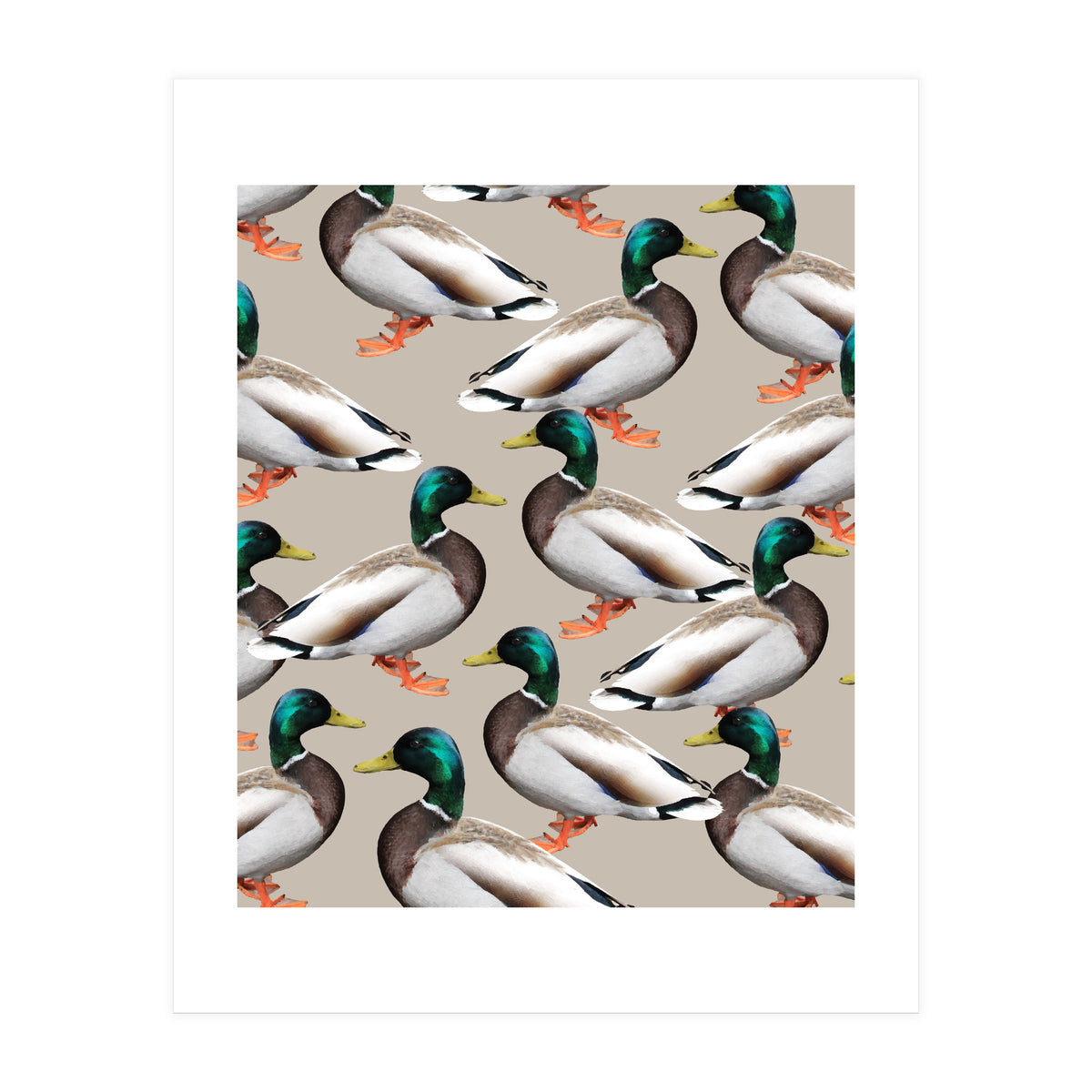 Mallards (Print Only)