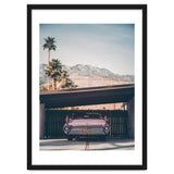 Palm Springs Pink thumbnail