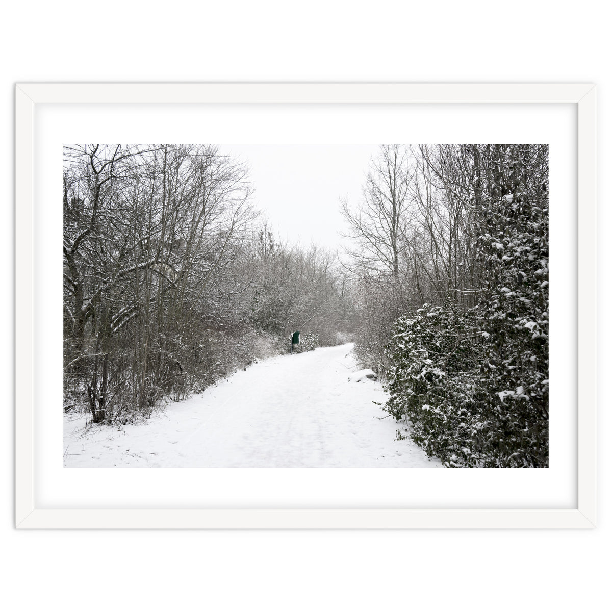 Walking through the snow park