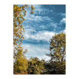 Autumn Evening (Print Only) thumbnail
