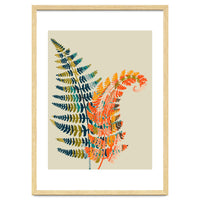 Colorful Fern Leaves