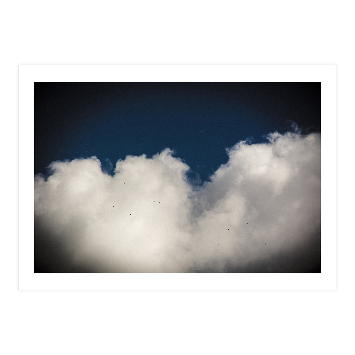 Balloons (Print Only)