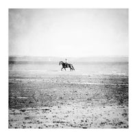 Sea Horse (Print Only)