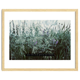 Photography - Summer Garden thumbnail