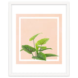 Botanical Art thumbnail