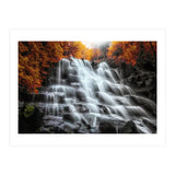 Into the woods (Print Only) thumbnail