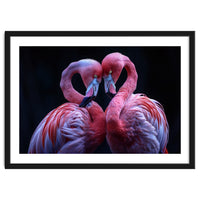 Two Pink Flamingos Forming A Heart Shape