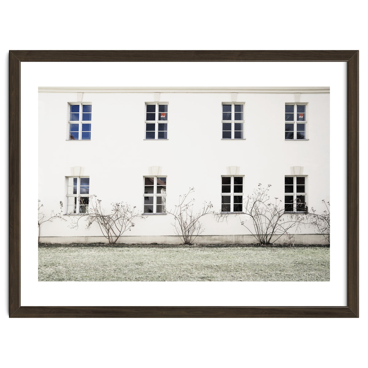 Small trees in between the windows