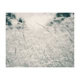 Walking Through Long Grass (Print Only) thumbnail