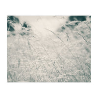 Walking Through Long Grass (Print Only)