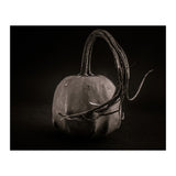 Gourds No 14 (Print Only) thumbnail