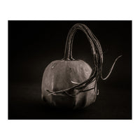 Gourds No 14 (Print Only)